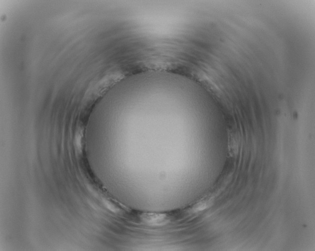 X0000088470334200706121535