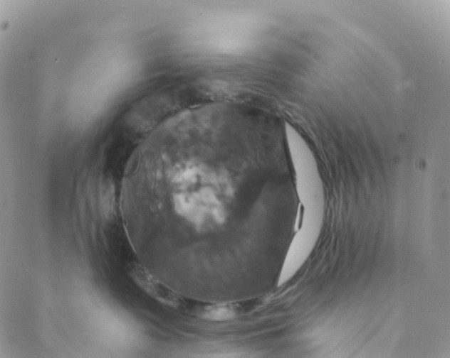 X0000088470335200706121535