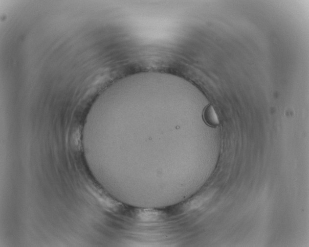 X0000088470336200706121535