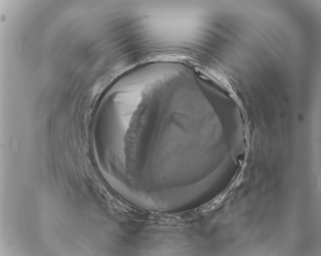 X0000088470337200706121535