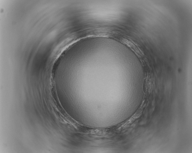 X0000088470338200706121535