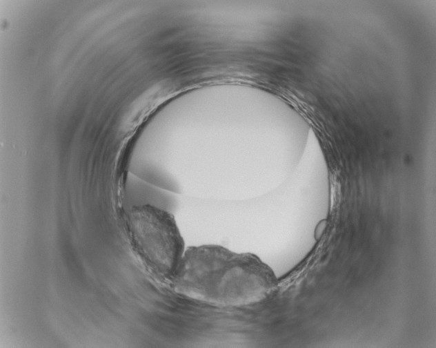 X0000088470339200706121535