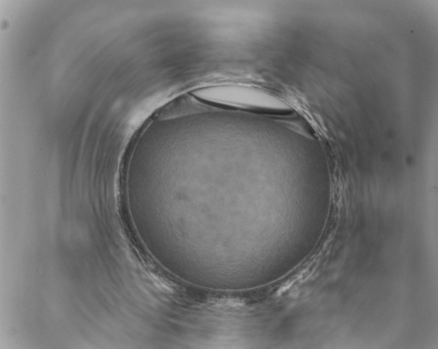 X0000088470340200706121535