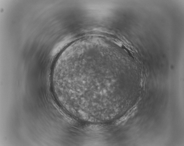 X0000088470341200706121535