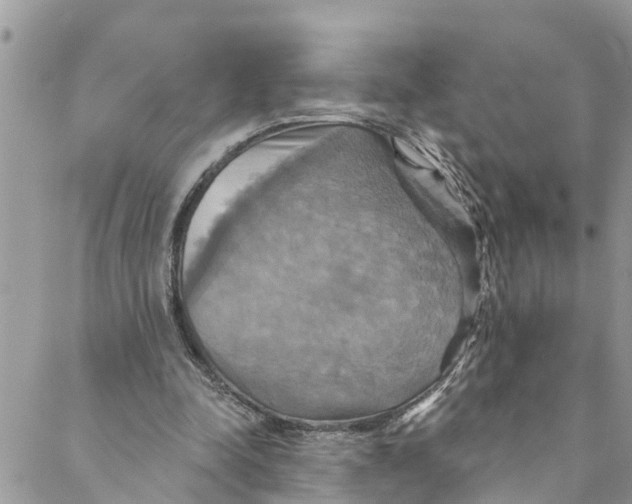 X0000088470342200706121535