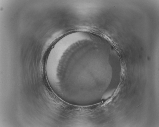 X0000088470343200706121535