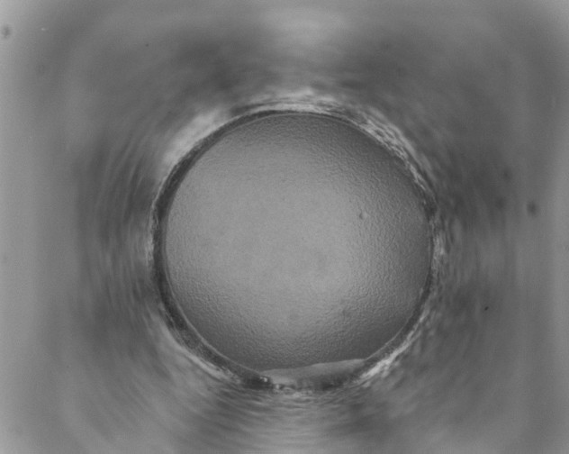 X0000088470344200706121535