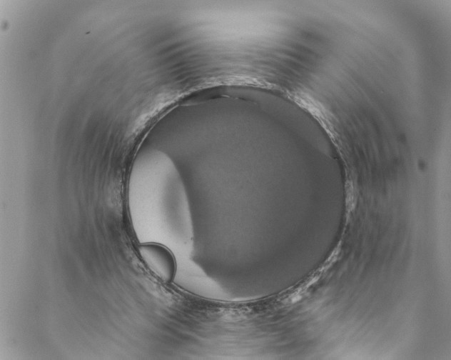 X0000088470345200706121535