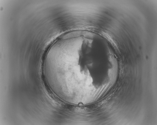 X0000088470346200706121535