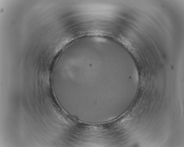 X0000088470347200706121535