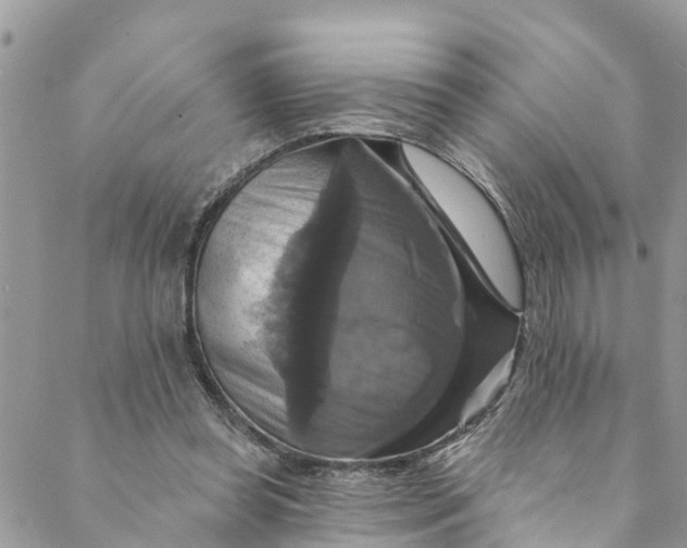 X0000088470349200706121535