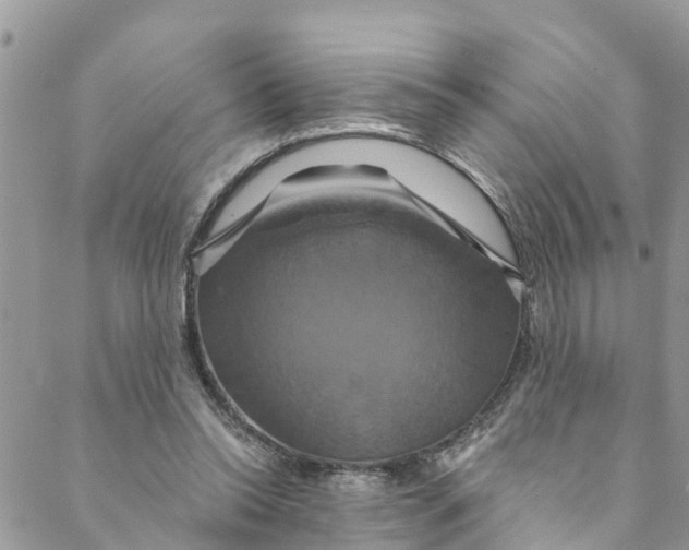 X0000088470350200706121535