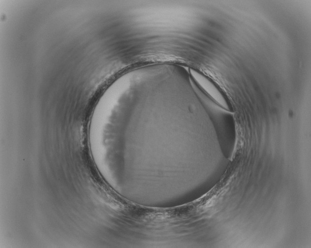 X0000088470351200706121535