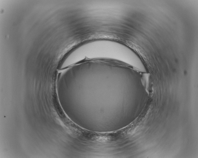 X0000088470352200706121535