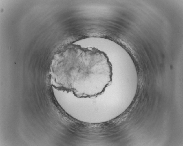 X0000088470353200706121535