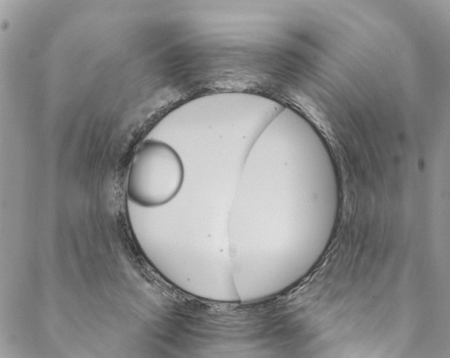 X0000088470354200706121535