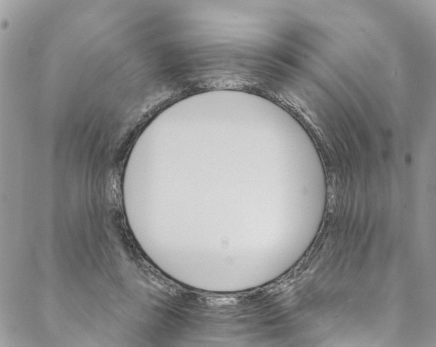 X0000088470355200706121535