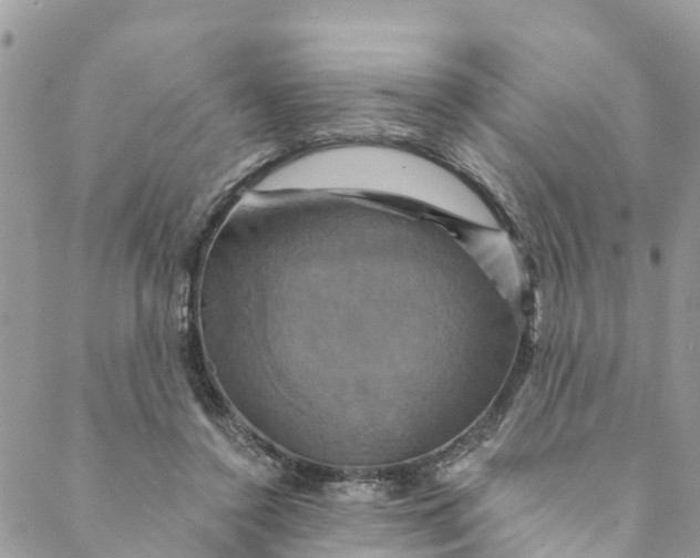 X0000088470356200706121535