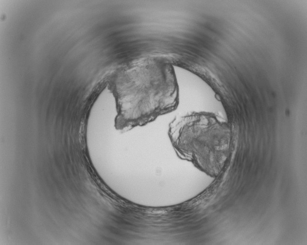 X0000088470357200706121535