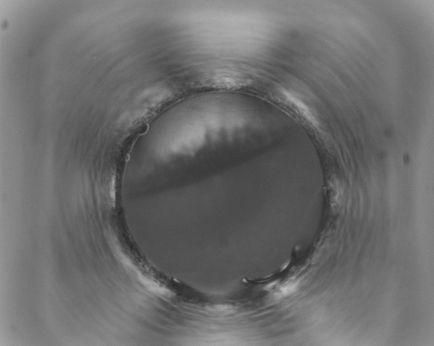 X0000088470358200706121535