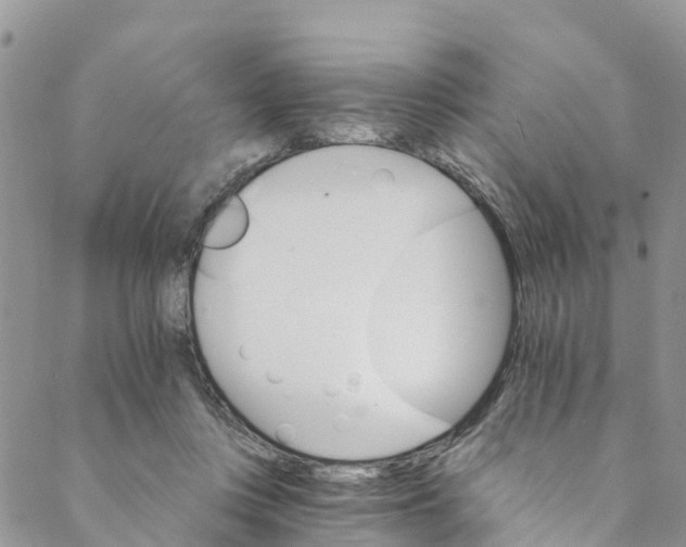 X0000088470359200706121535