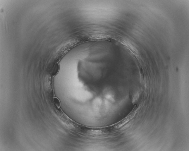 X0000088470361200706121535