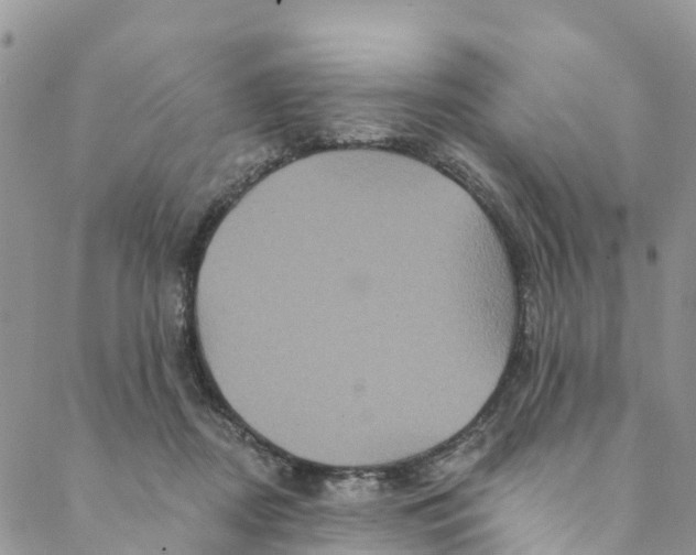 X0000088470362200706121535