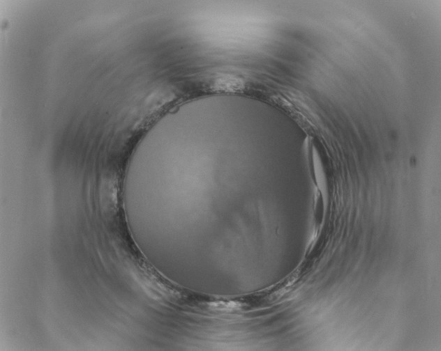 X0000088470363200706121535