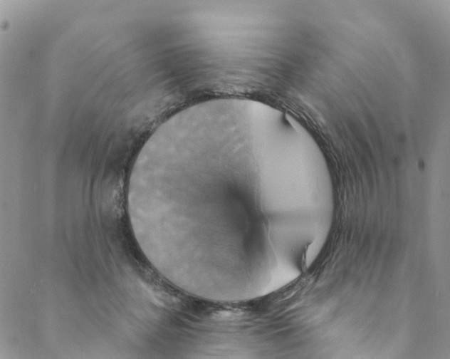 X0000088470364200706121535