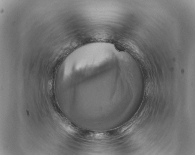 X0000088470365200706121535