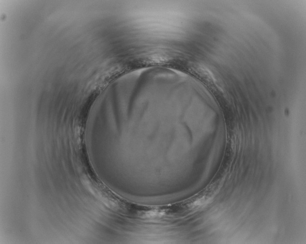 X0000088470366200706121535