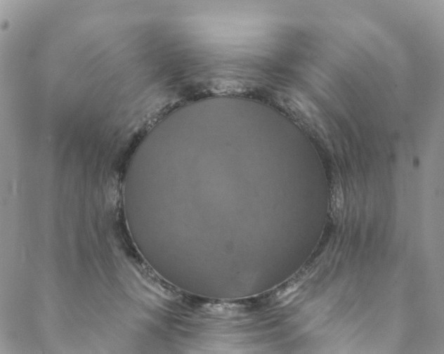 X0000088470367200706121535