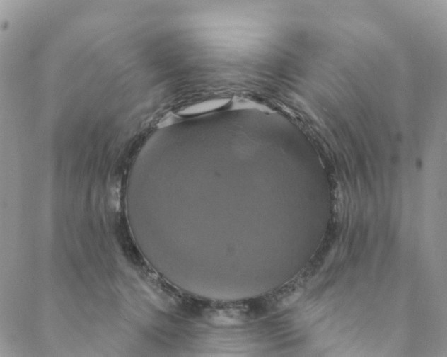 X0000088470368200706121535