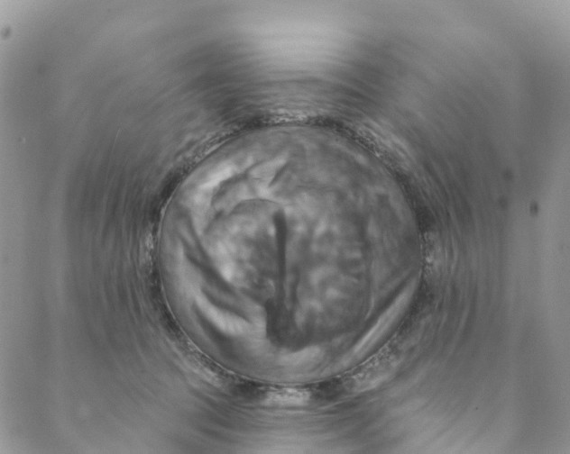 X0000088470369200706121535