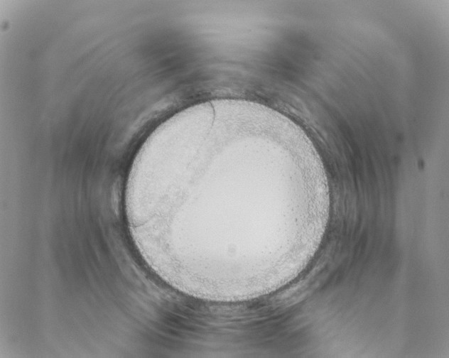 X0000088470370200706121535