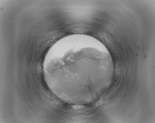 X0000088470371200706121535