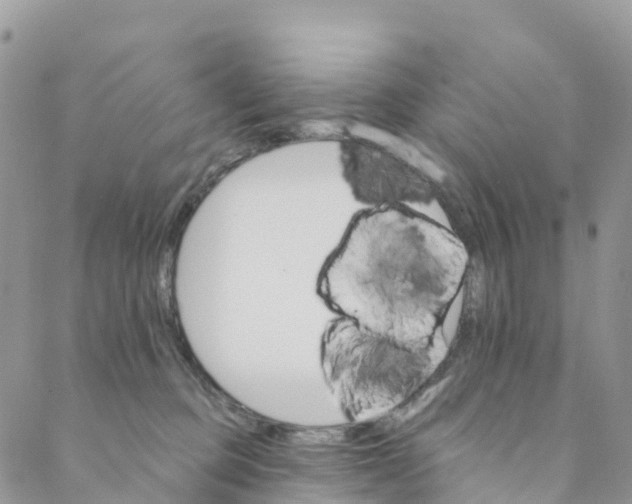 X0000088470373200706121535