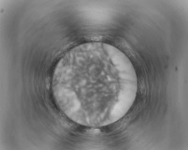 X0000088470374200706121535