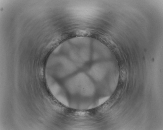 X0000088470375200706121535