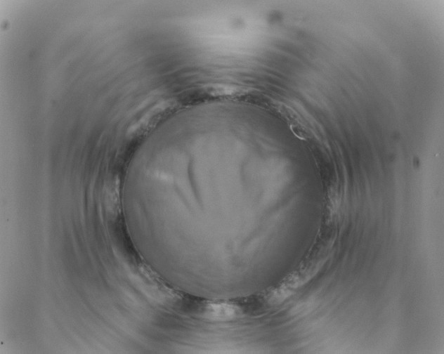 X0000088470376200706121535