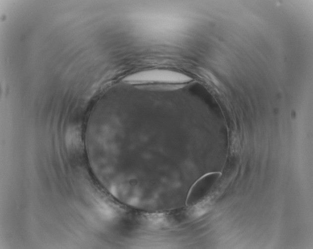 X0000088470377200706121535