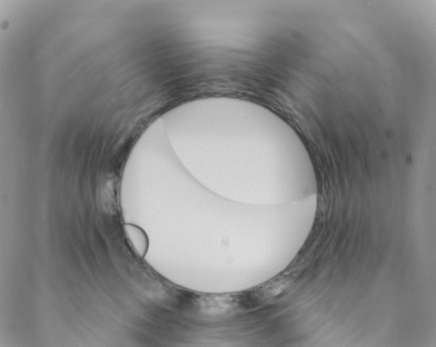 X0000088470378200706121535