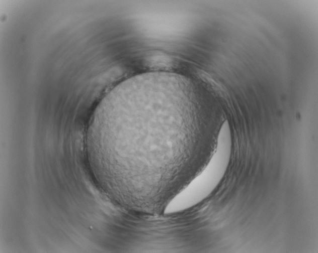 X0000088470379200706121535