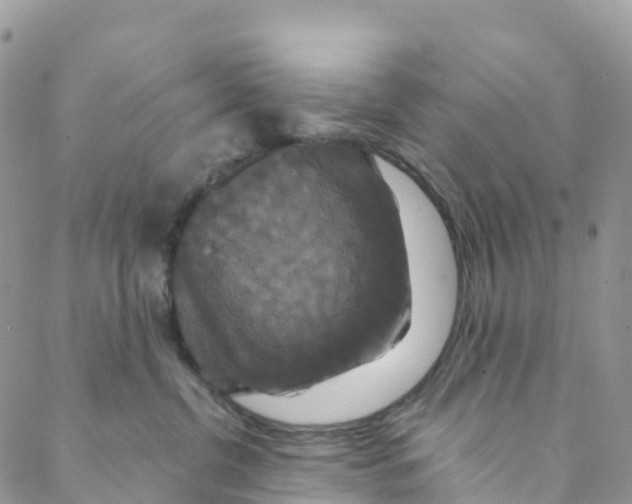 X0000088470380200706121535