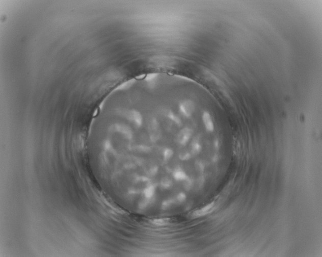 X0000088470382200706121535