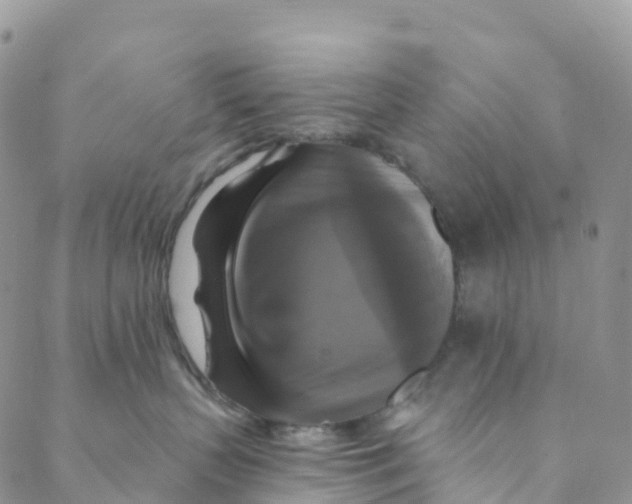 X0000088470383200706121535