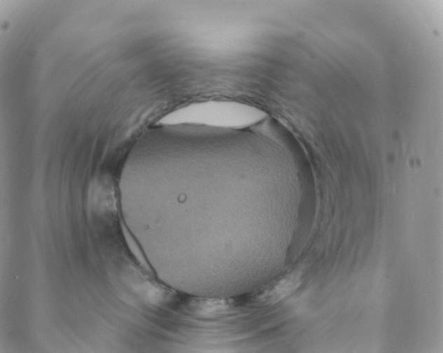 X0000088470384200706121535