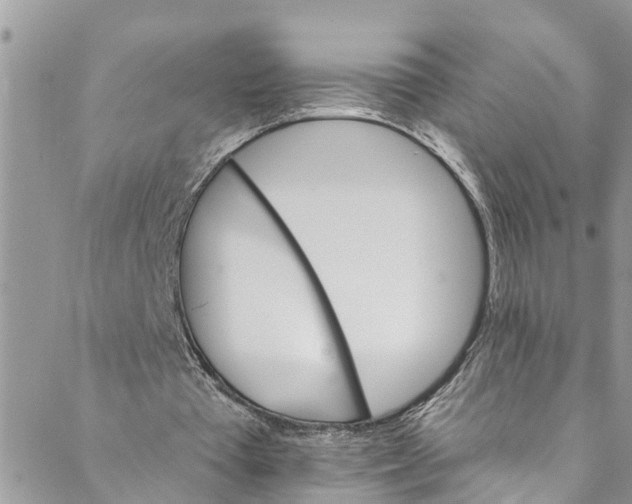 X0000088470385200706121535