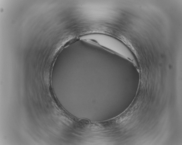 X0000088470386200706121535