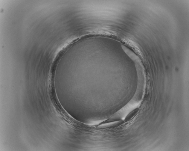 X0000088470388200706121535